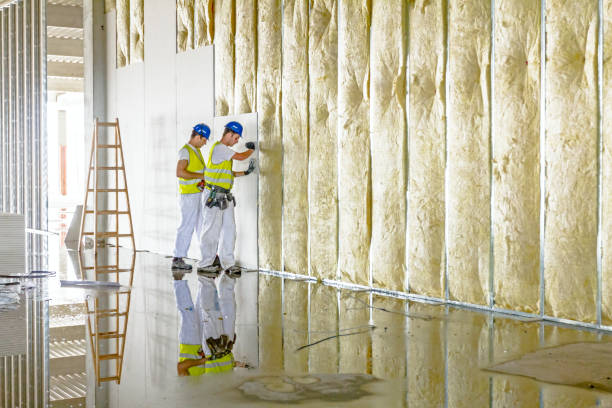 Best Energy-efficient Insulation  in Butler, GA
